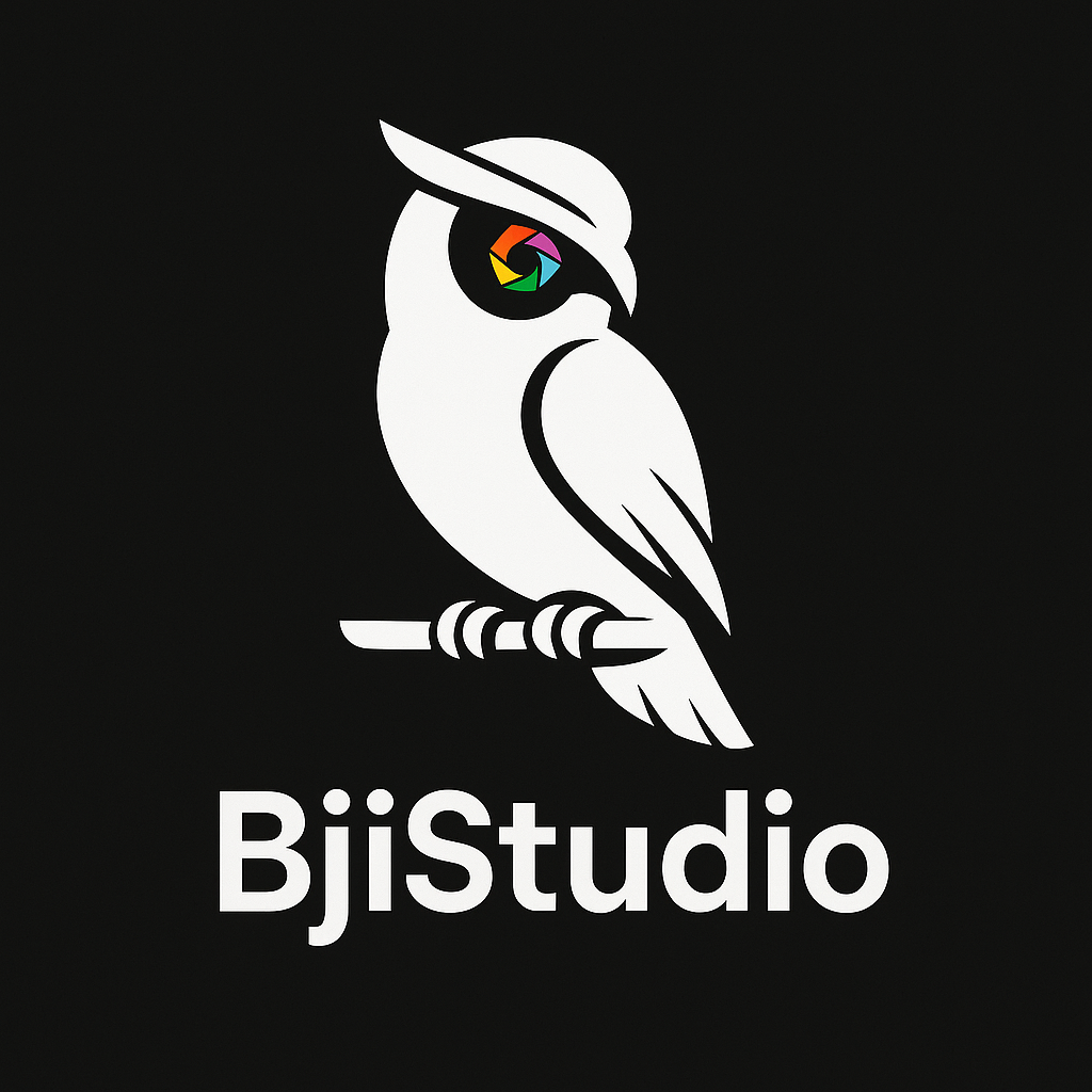 Logo BjiStudio